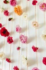 Spring floral texture of rose buds on white wall