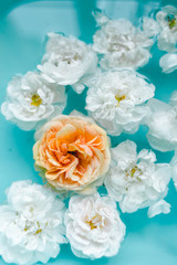 Tenderness floral texture of roses in water on blue background