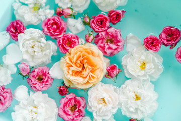 stunning floral texture of roses in water on blue background