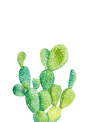 watercolor cactus poster. Raster illustration. illustration for greeting cards, invitations, and other printing projects. on white background.High resolution.Clipping path included.