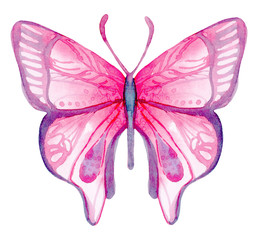 Cartoon watercolor illustration. Cute hand-drawn pink butterfly isolated on white background.