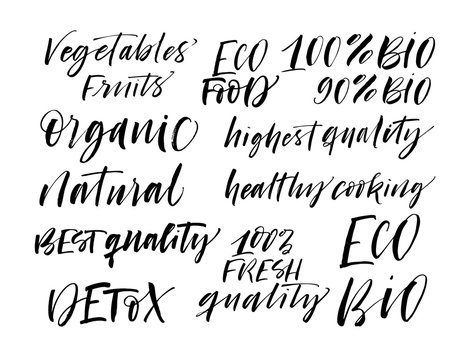 Set of eco phrases. Modern vector brush calligraphy. Ink illustration with hand-drawn lettering. 