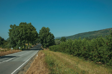 Road passing through rural landscape