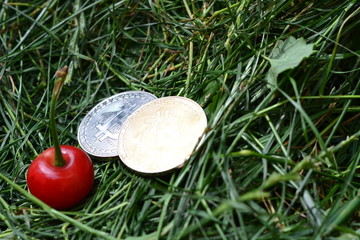 Bitcoin crypto currency on the background of grass