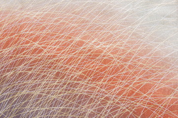 着物の綺麗な図柄