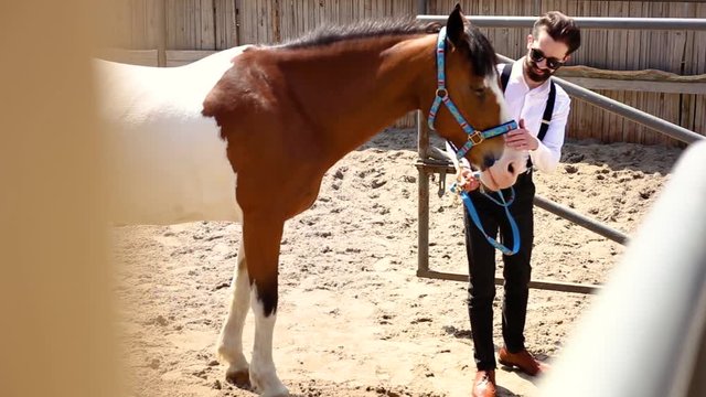 Young beautiful girl makes selfie with a brown horse