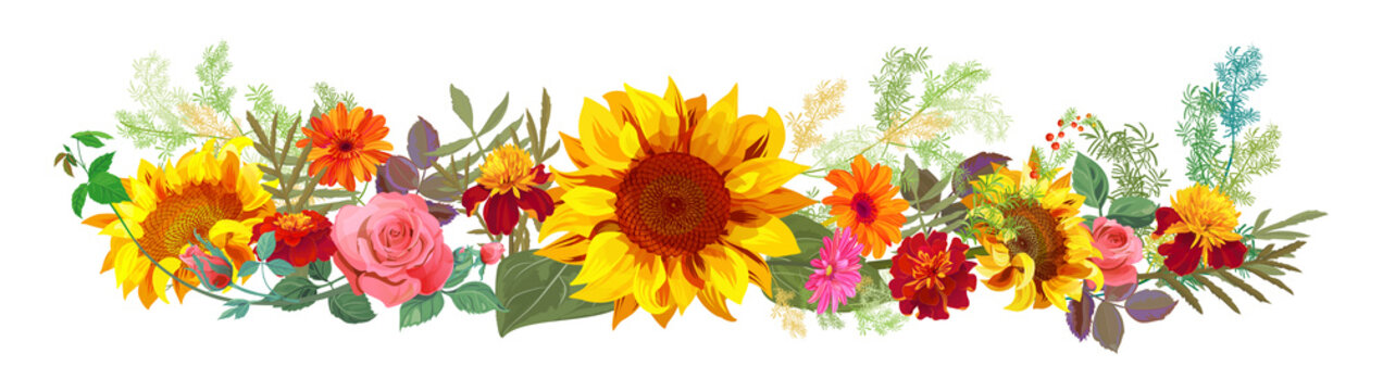 Horizontal autumn’s border: orange, yellow sunflowers, pink roses, marigold (tagetes), gerbera daisy flowers, green twigs on white background. Illustration in watercolor style, panoramic view, vector