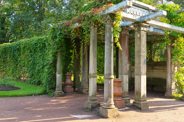 St. Petersburg. Pushkin. An old pergola-veranda 1865 in the Italian style twined with wild grapes...