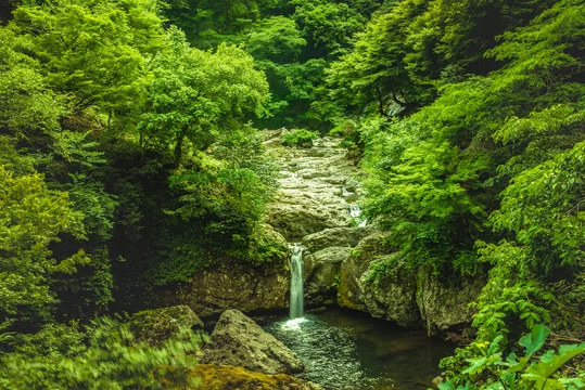 兵庫県 阿瀬渓谷 Buy This Stock Photo And Explore Similar Images At Adobe Stock Adobe Stock 兵庫県 阿瀬渓谷 Buy This Stock Photo And Explore Similar Images At Adobe Stock Adobe Stock