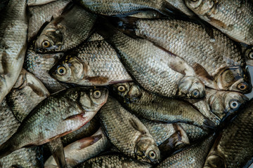 Fresh raw fish. Food background