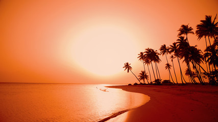 Palm beach at sunset. Palm jungle under a big yellow sun on an exotic beach seascape. Walk along the evening Maldives beach.