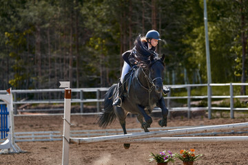 A young woman jockey on a horse performs a jump across the barrier. Competitions in equestrian sport. Close-up.