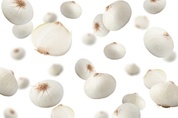 Falling onion, isolated on white background, selective focus