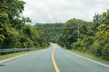 Forest road through Doi Inthanon National Park in Chiangmai,Thailand