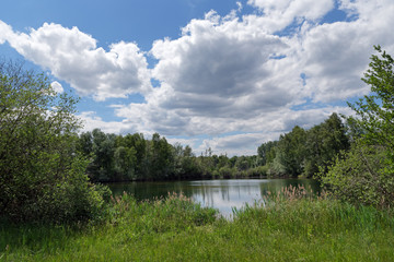Obraz premium Episy swamp nature resrve in the French Gâtinais regional nature park