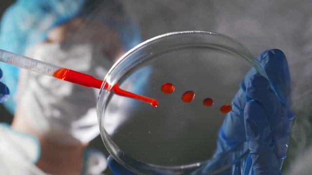 researcher pipetts samples in well microplate. medical test of blood or dna.