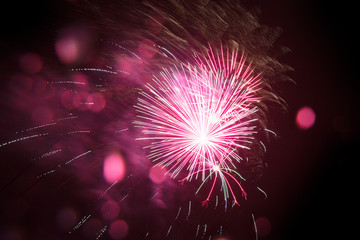 Fireworks light up the sky with dazzling display. Great holiday of a great country. The celebration...
