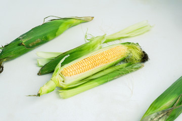 Fresh organic corn ears, partly peeled with yellow seeds
