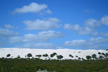 Obraz premium View of white sand dunes near Cervantes, Western Australia