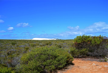 Fototapeta na wymiar View of white sand dunes near Cervantes, Western Australia