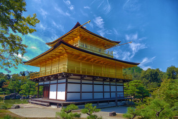 Fototapeta premium chinese pavilion in japanese garden