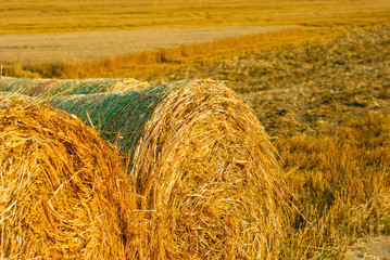 Hay bale