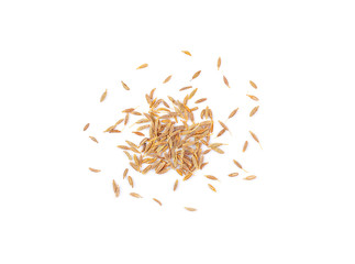 Dry fennel isolated on a white background. Top view