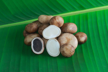Astraeus hygrometricus Popular food in Northern Thailand on the banana leaf floor