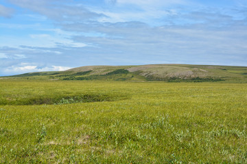 Yamal tundra.