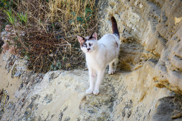 Viaje al pueblo de Ores España