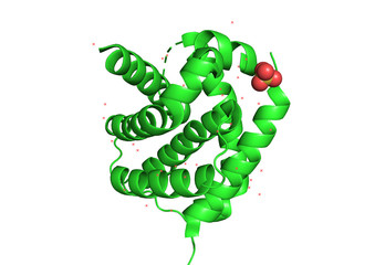 3d structure of the protein molecule.