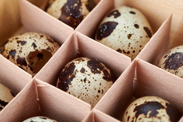 quail eggs in wooden cells from the store