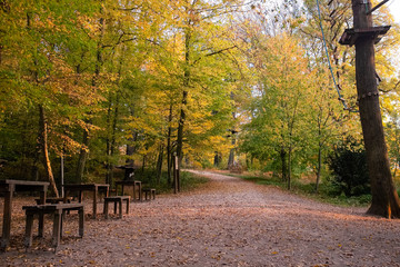 Naklejka premium Foliage on the Dudelange park. Luxembourg