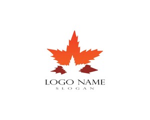 Oak Leaf Logo template vector illustration