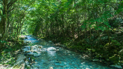 川・渓流・ドローン © naka