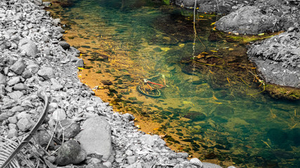 stream in the forest