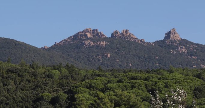 Static view of rocky hilltop of seven brother mountain from distance.