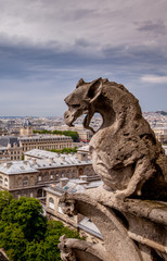 Close up of gargoyle from rooftop of Notre Dame in Paris