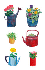 Collection of garden plants and flowers in vintage pots. Household things are filled with a variety of plants. hand-drawn illustration isolated on white background. Bright beautiful elements.