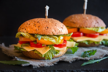 Delicious andwiches with cheese, lettuce, vegetables and arugola on dark background