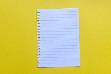 empty notebook on yellow background.