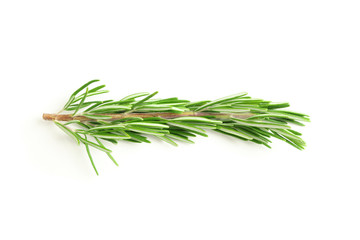 Fototapeta premium Fresh green rosemary isolated on white background