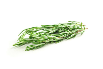 Fresh green rosemary isolated on white background