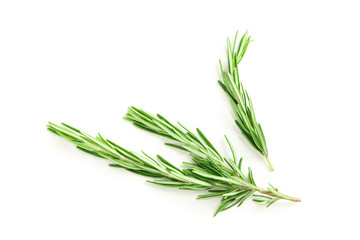 Fototapeta premium Fresh green rosemary isolated on white background