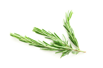 Fresh green rosemary isolated on white background