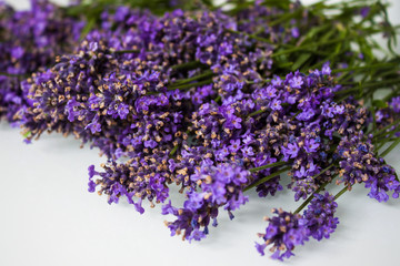 Fresh lavender flowers.