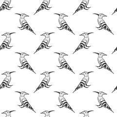 Hoopie. Vector concept in doodle and sketch style. Hand drawn illustration for printing on T-shirts, postcards.