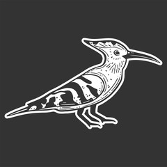 Wildbird hoopie. Vector concept in doodle and sketch style. © Sviatoslav Kovtun