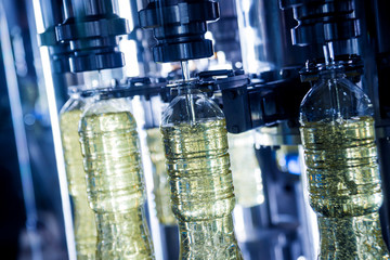 Bottling line of sunflower oil in bottles. Vegetable oil production plant. High technology.