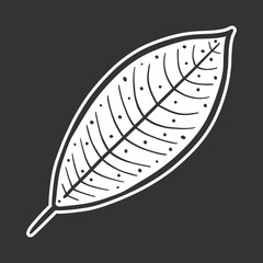 Leaf. Vector concept in doodle and sketch style.